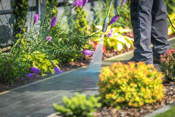 Best Driveway Pressure Washing  in Valrico, FL
