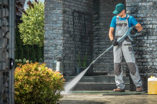 Best Sidewalk and Walkway Cleaning  in Valrico, FL